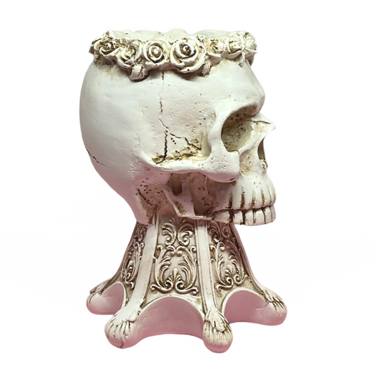 Small skull-shaped planter for succulents, cacti, or air plants, gothic and playful plant pot