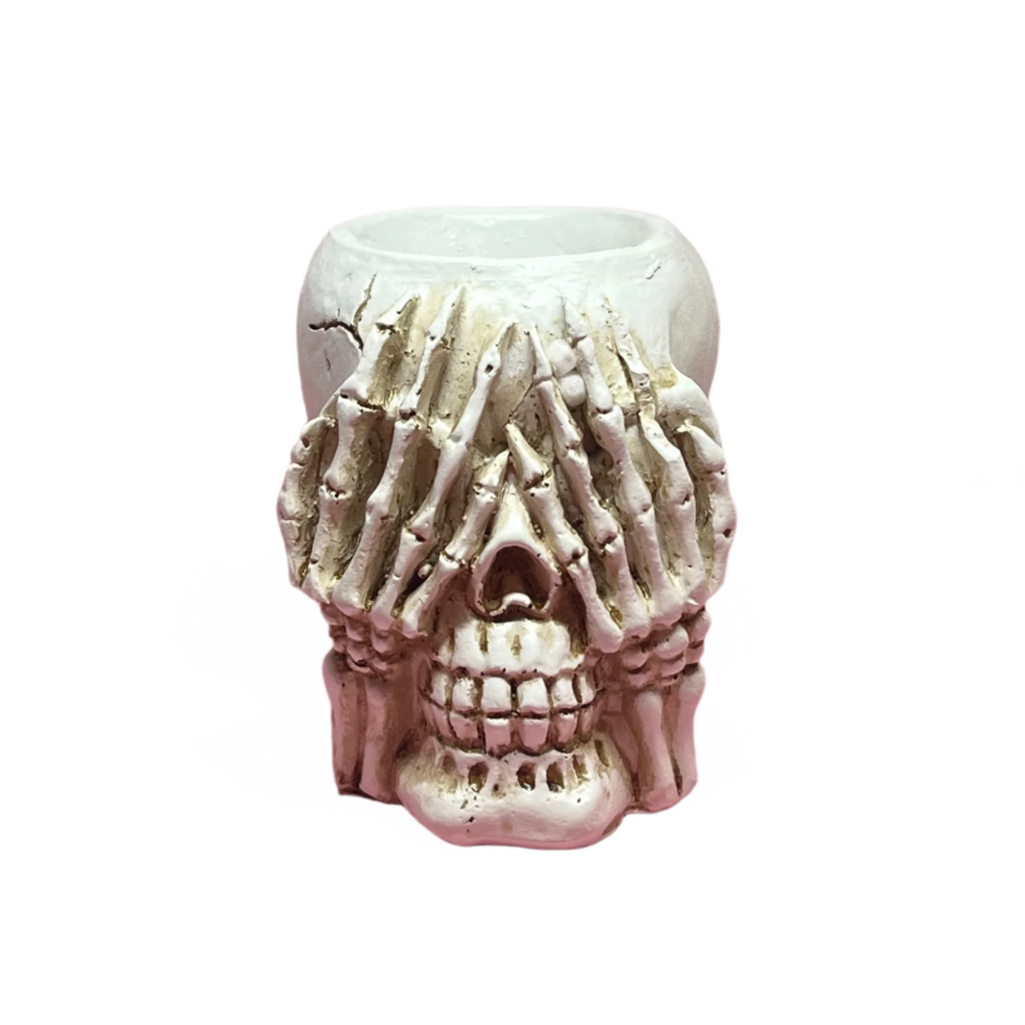 See No Evil Skull Pot