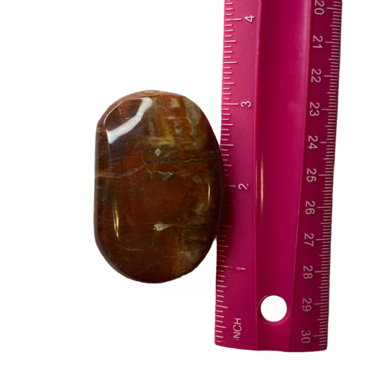 Petrified wood palm stone, promotes perseverance, grounding, personal growth, and wellbeing; symbolizes comfort, balance, and tactile grounding.