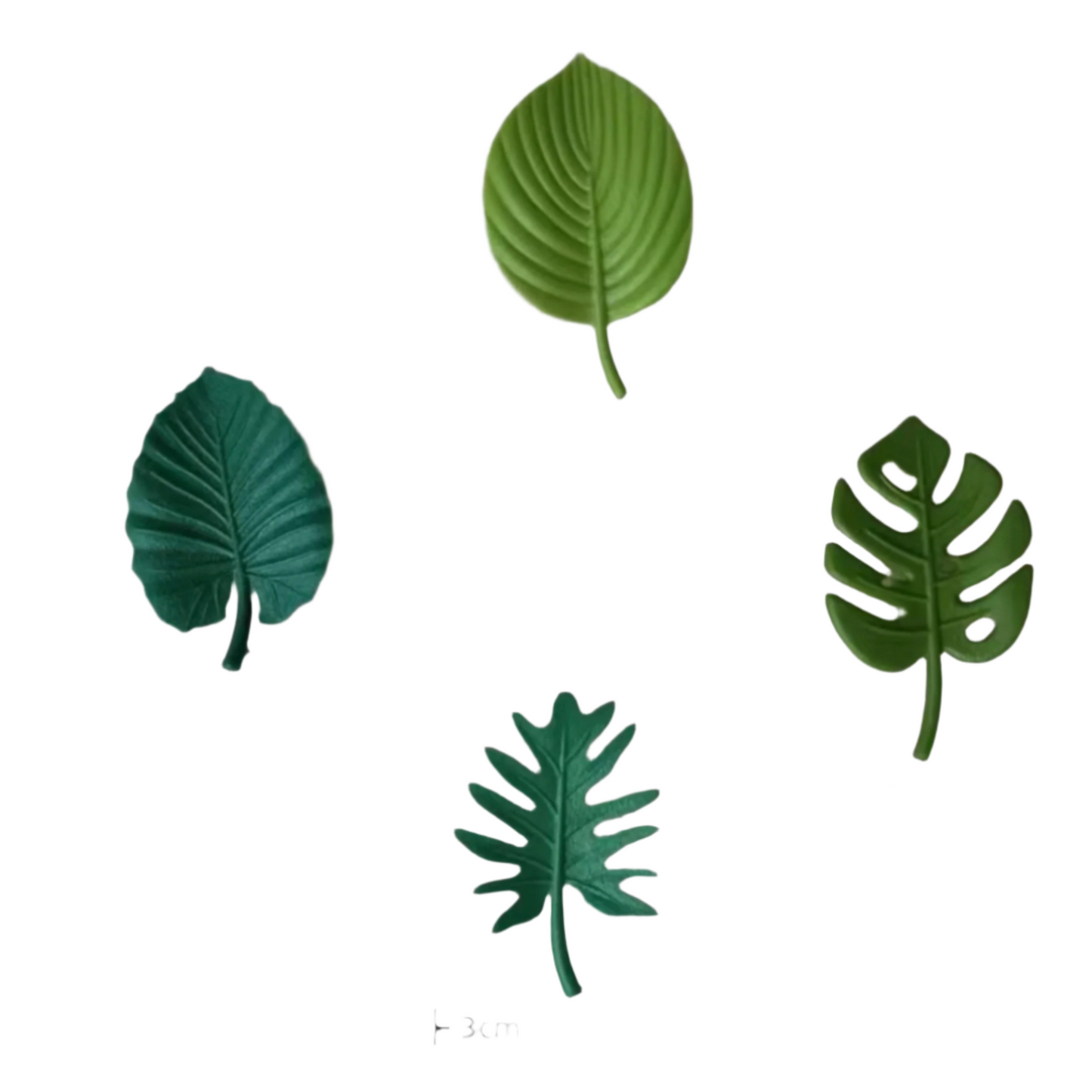 Plant Leaf Magnets