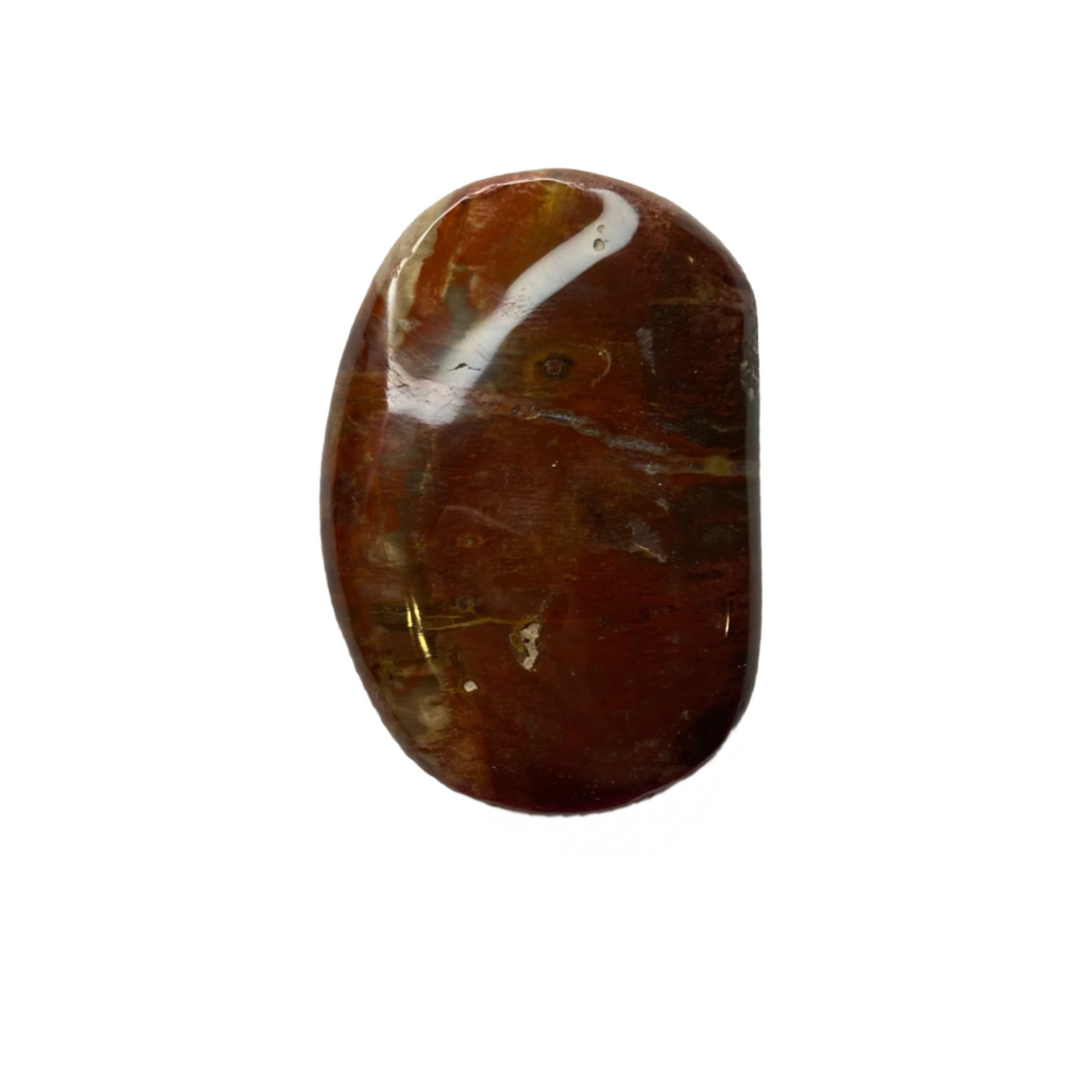 Petrified Wood Palm Stone