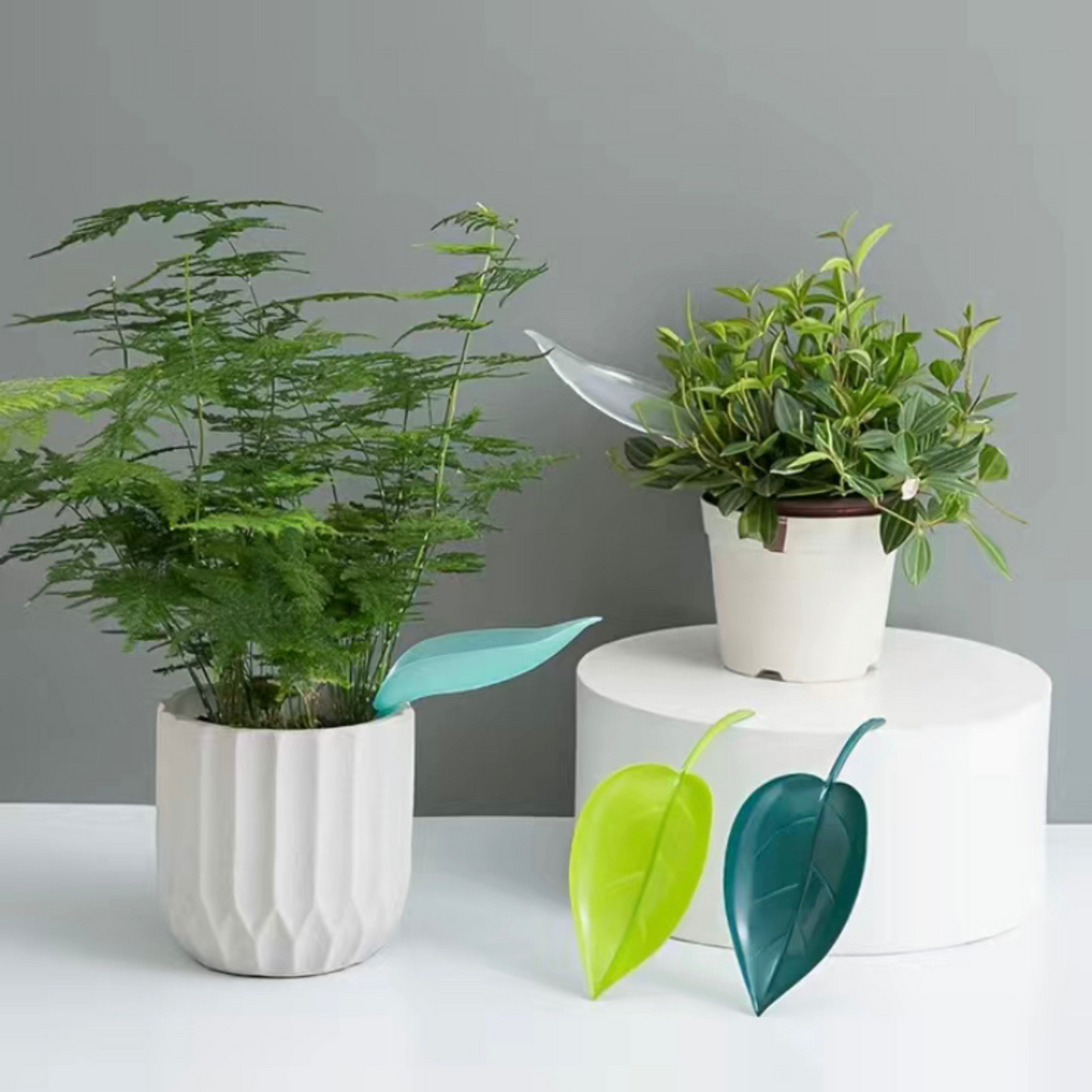 Leaf Watering Funnel