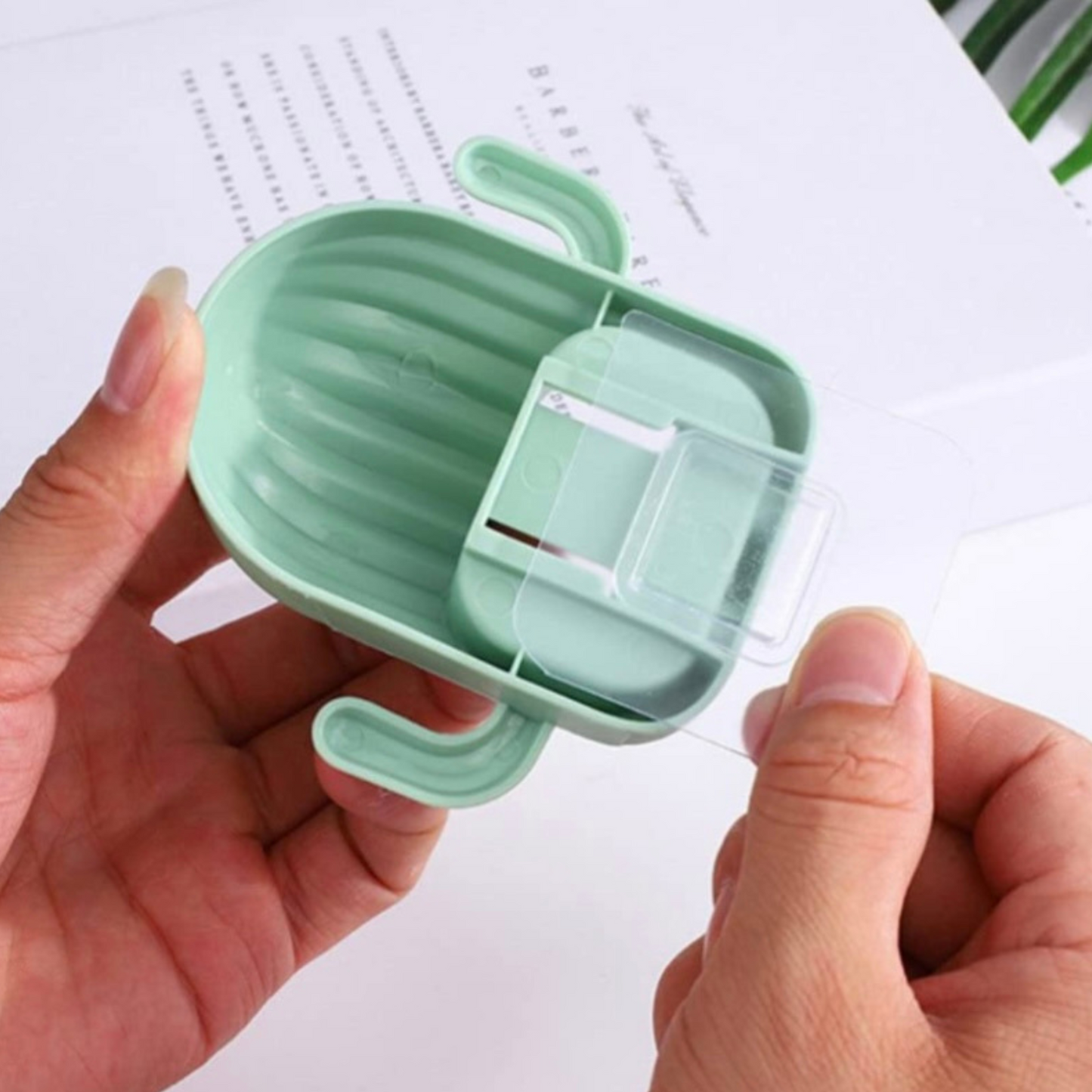 Cactus Toothbrush Holder