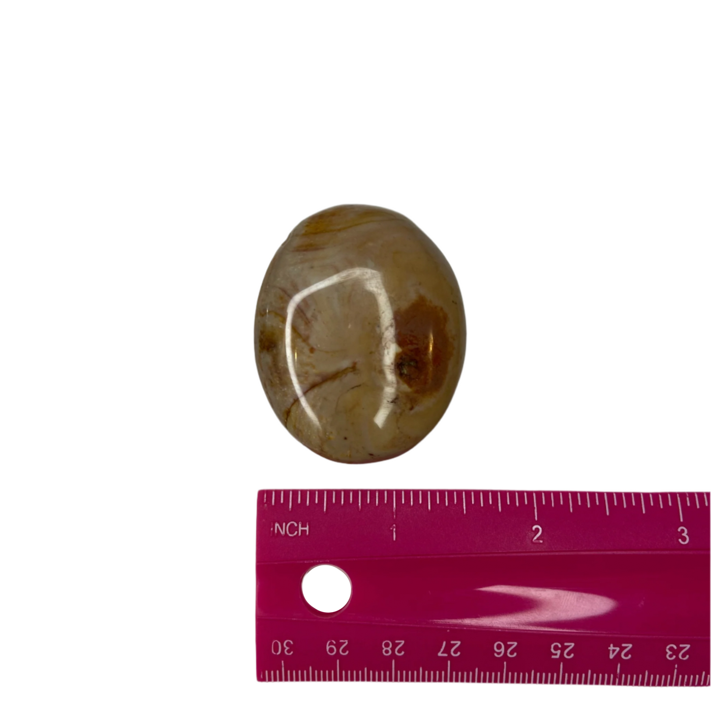 Polychrome Jasper Palm