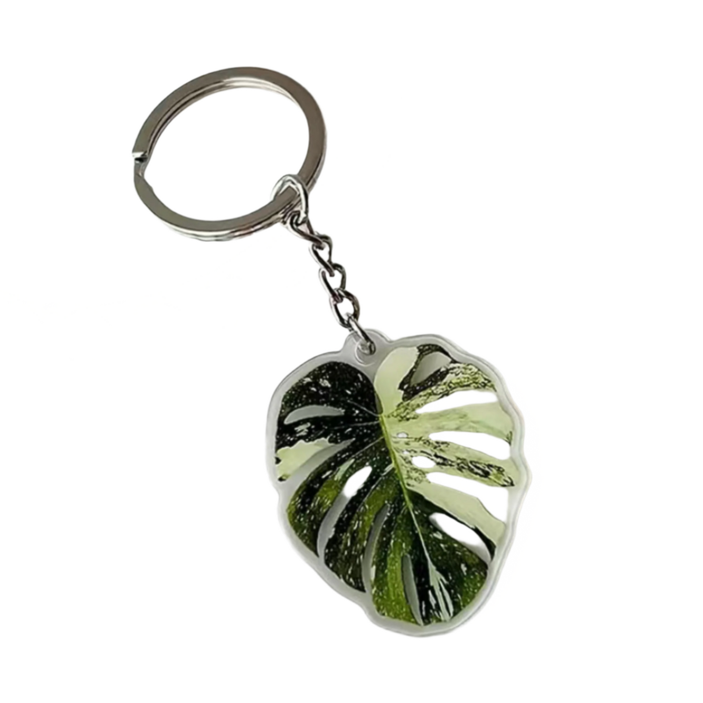 Monstera Thai Constellation Keychain