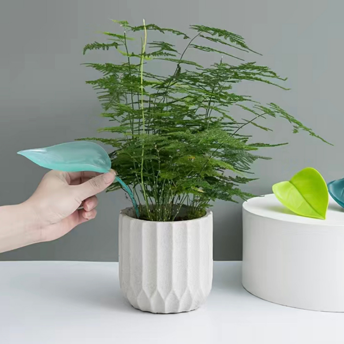 Leaf Watering Funnel