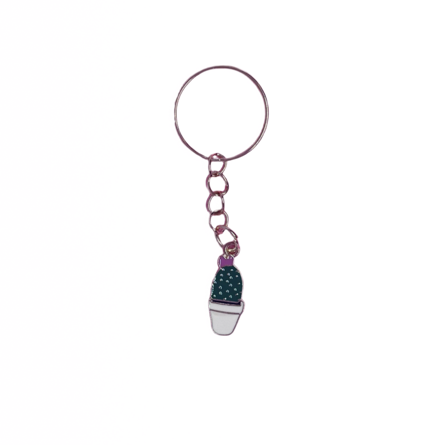Cactus Keychains