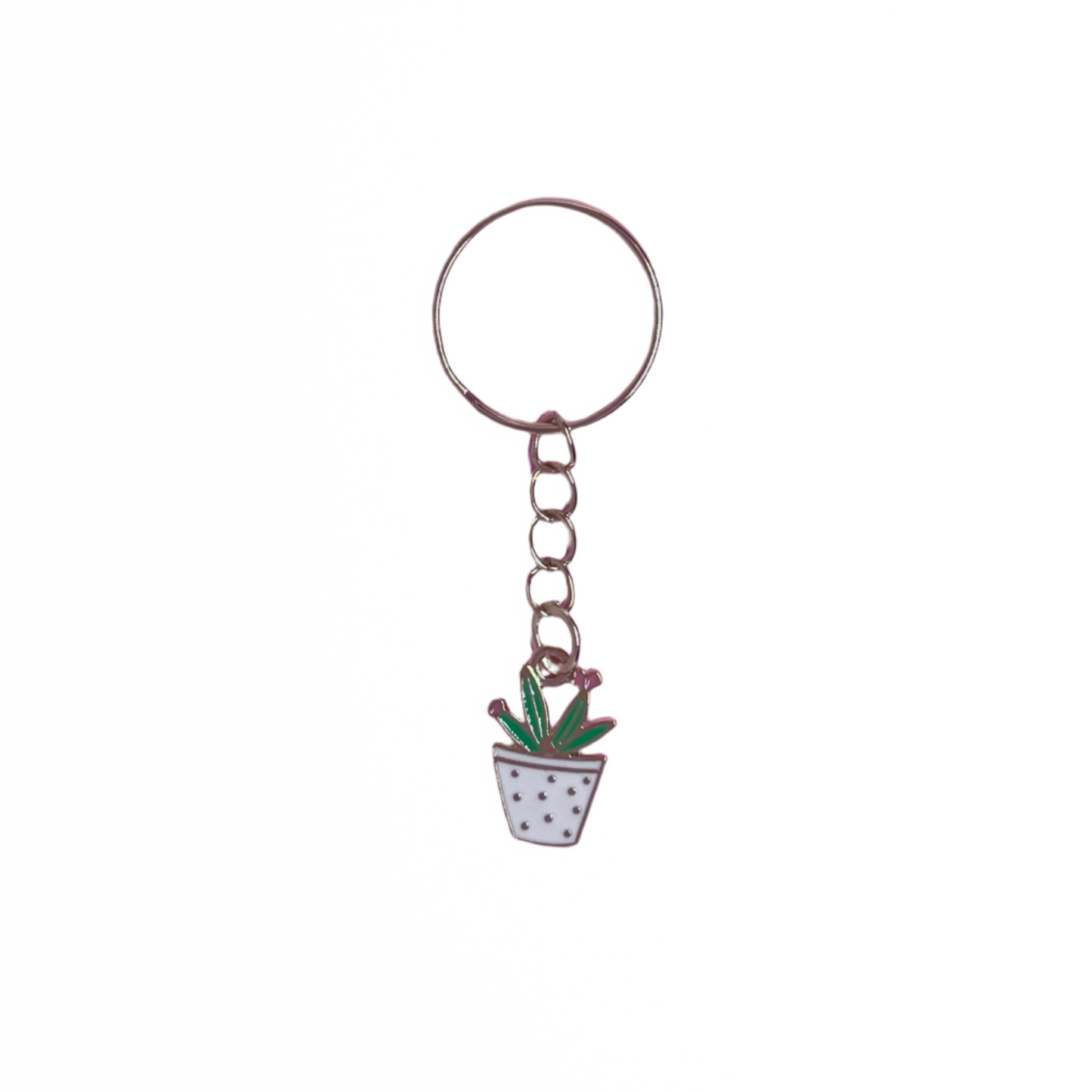 Cactus Keychains