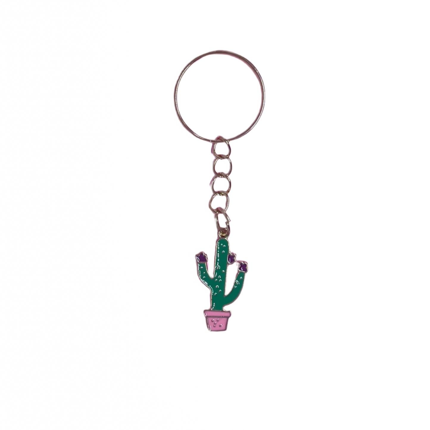 Cactus Keychains