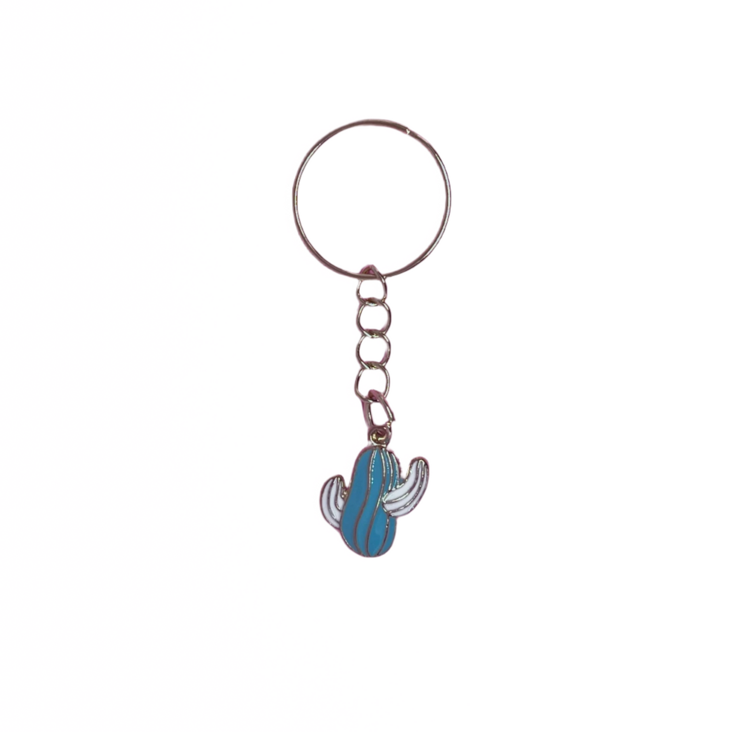 Cactus Keychains