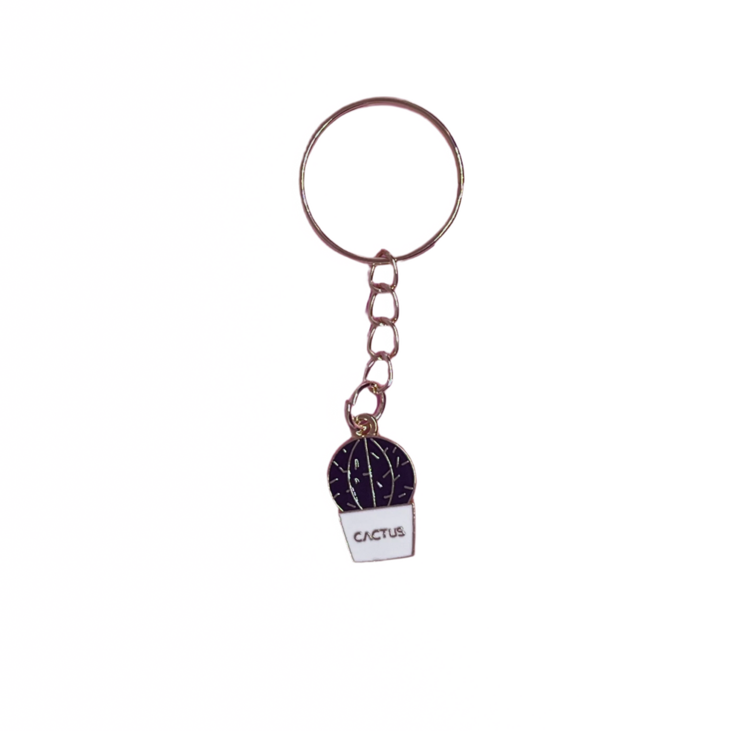 Cactus Keychains