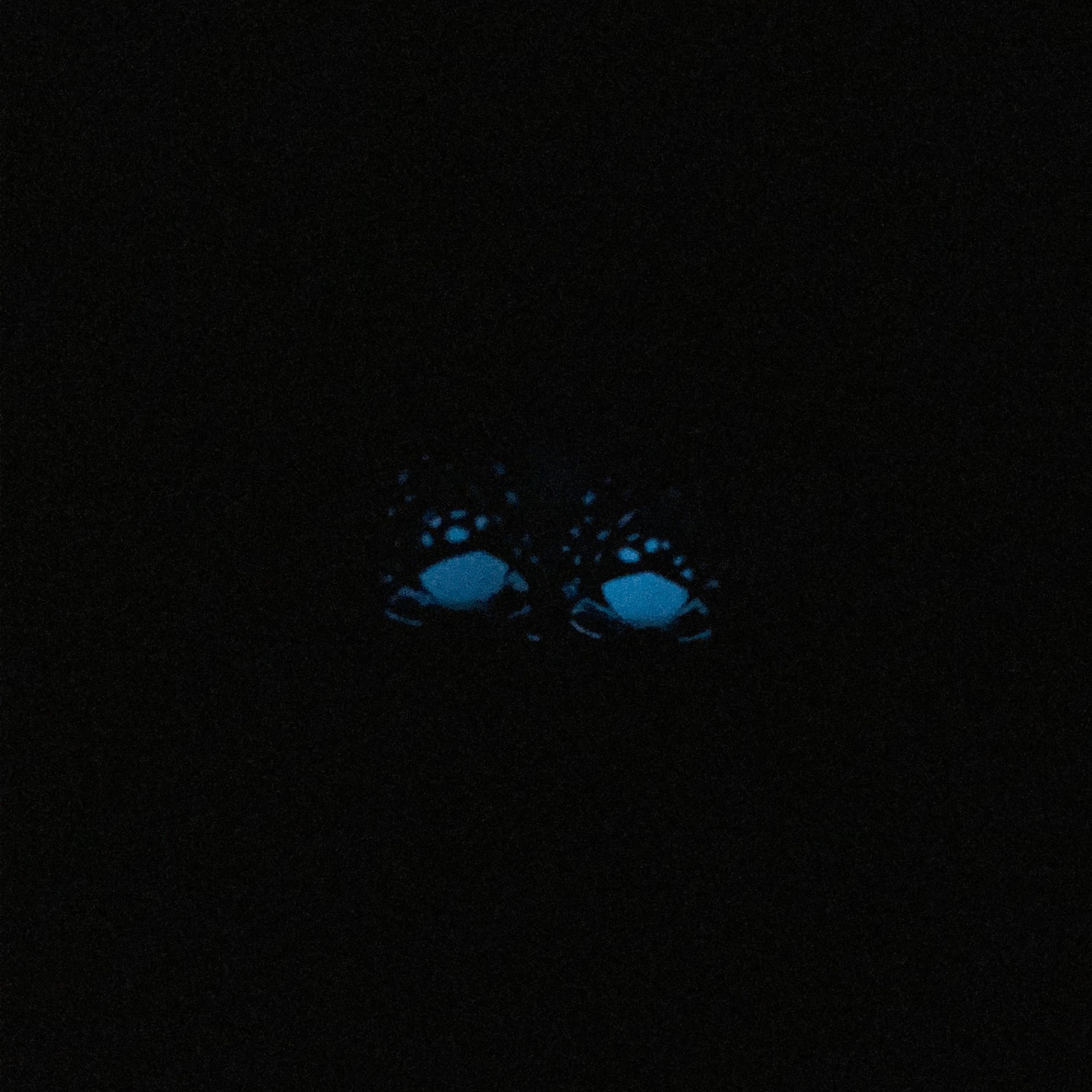 Glow in The Dark Bat Earrings