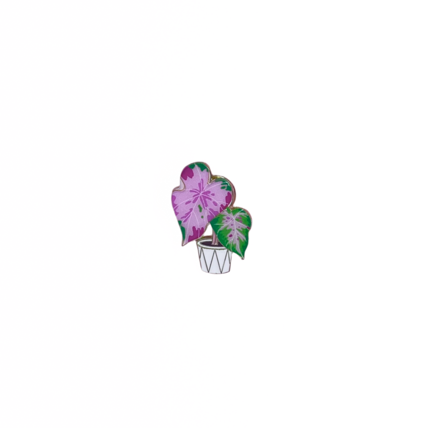 Plant Pins