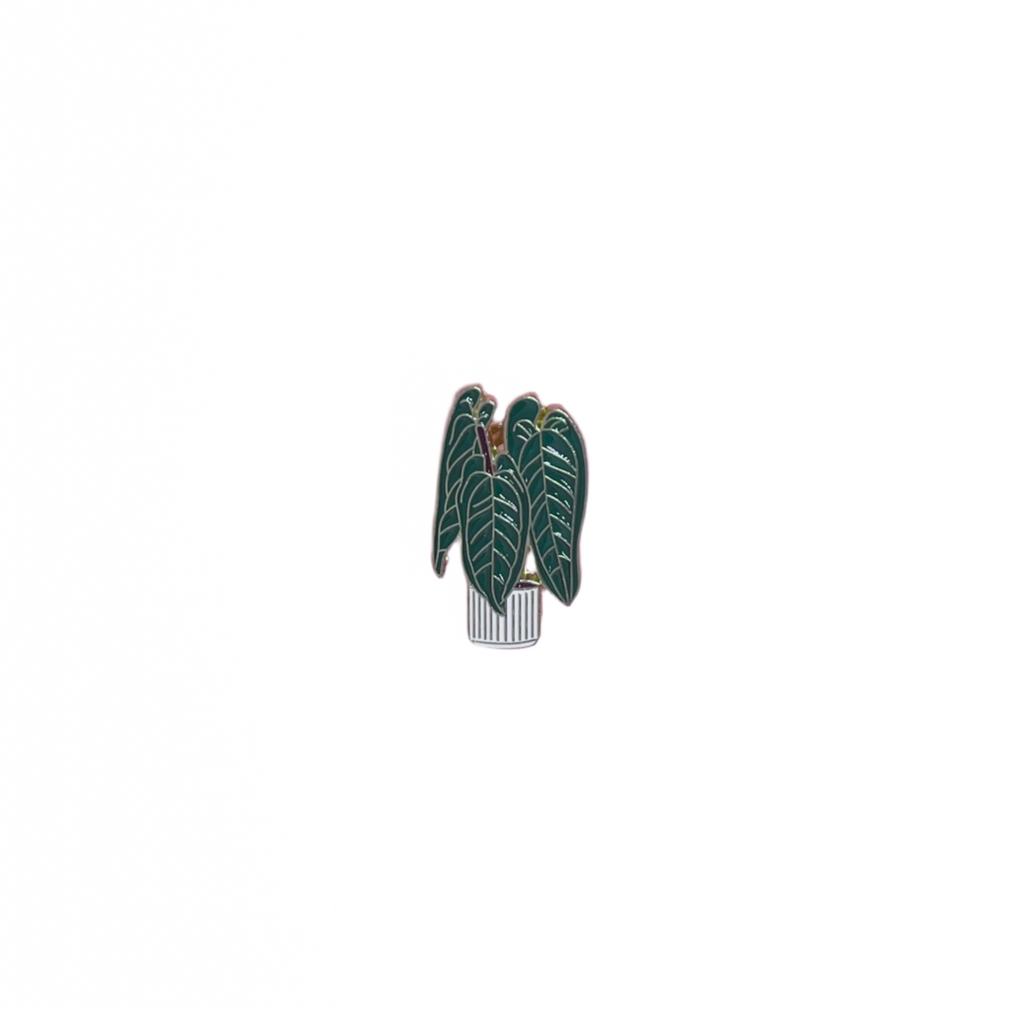 Plant Pins
