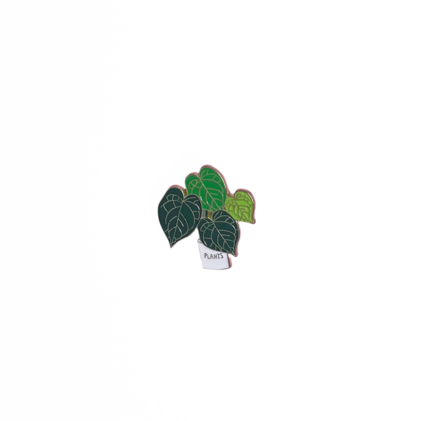 Plant Pins