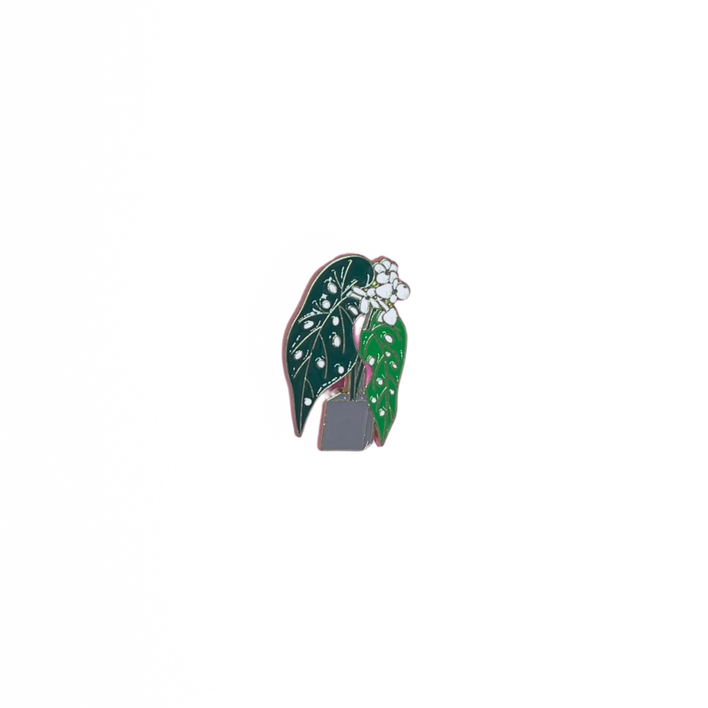 Plant Pins
