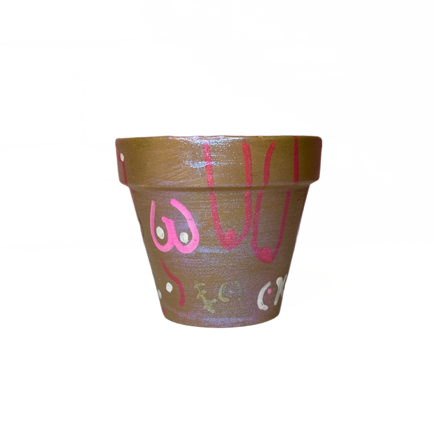 Hand Painted Terracotta Pot