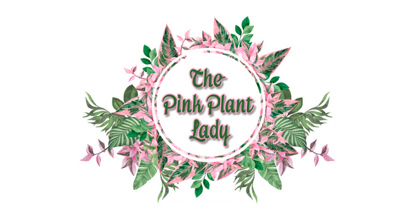 The Pink Plant Lady
