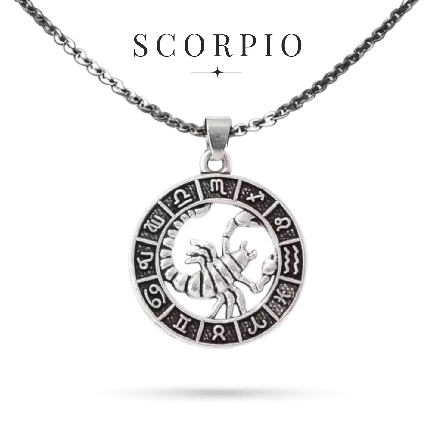 Silver tone Scorpio zodiac necklace with all horoscope symbols border