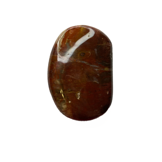 Petrified Wood Palm Stone