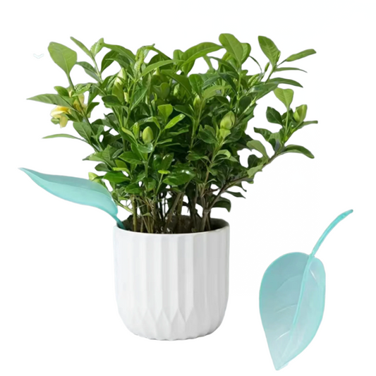 Leaf Watering Funnel