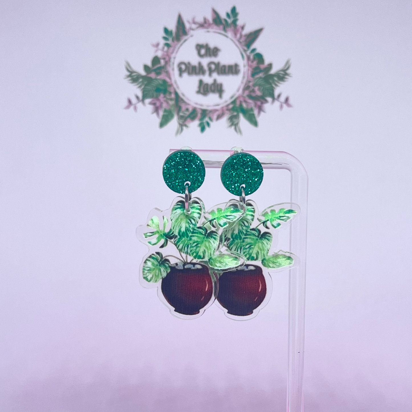 Acrylic Potted Plant Earrings