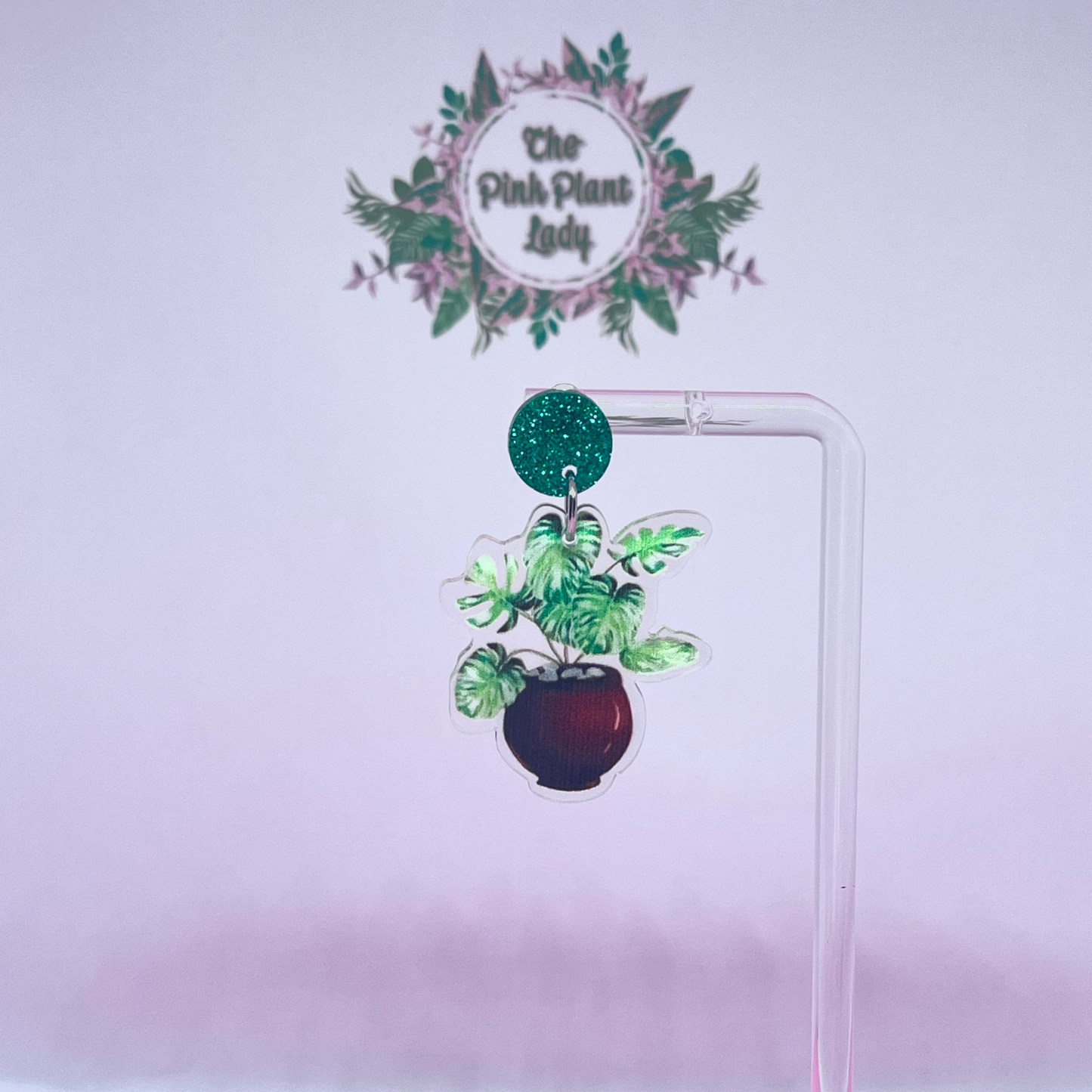 Acrylic Potted Plant Earrings