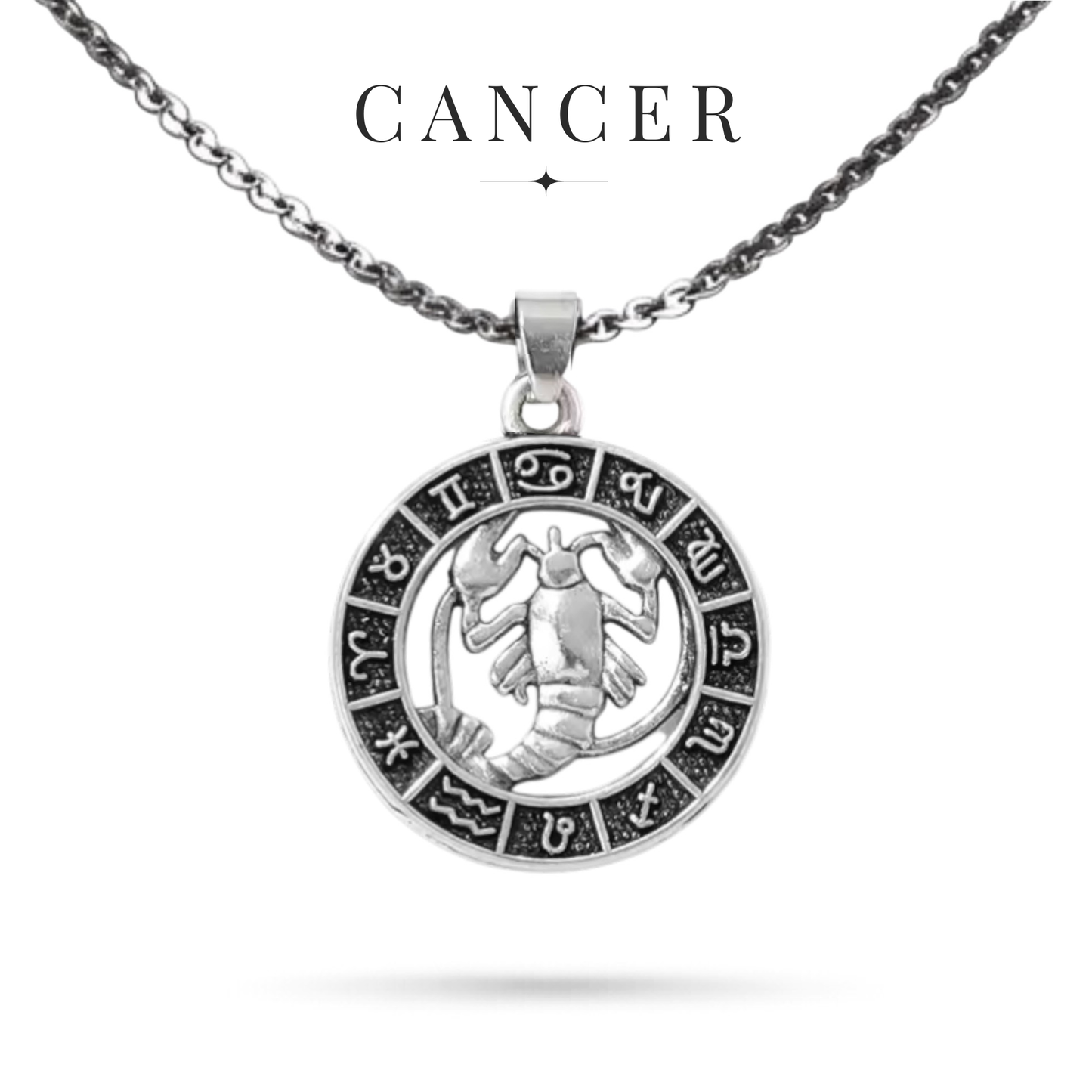 Silver tone Cancer zodiac necklace with all horoscope symbols border
