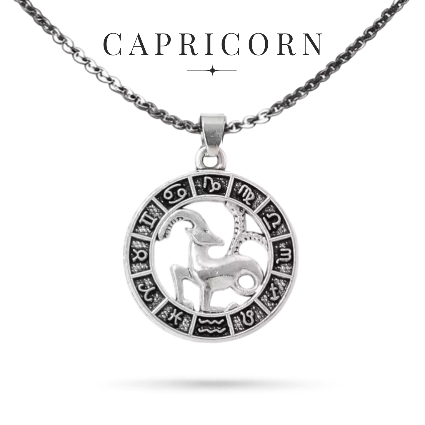 Silver tone Capricorn zodiac necklace with all horoscope symbols border