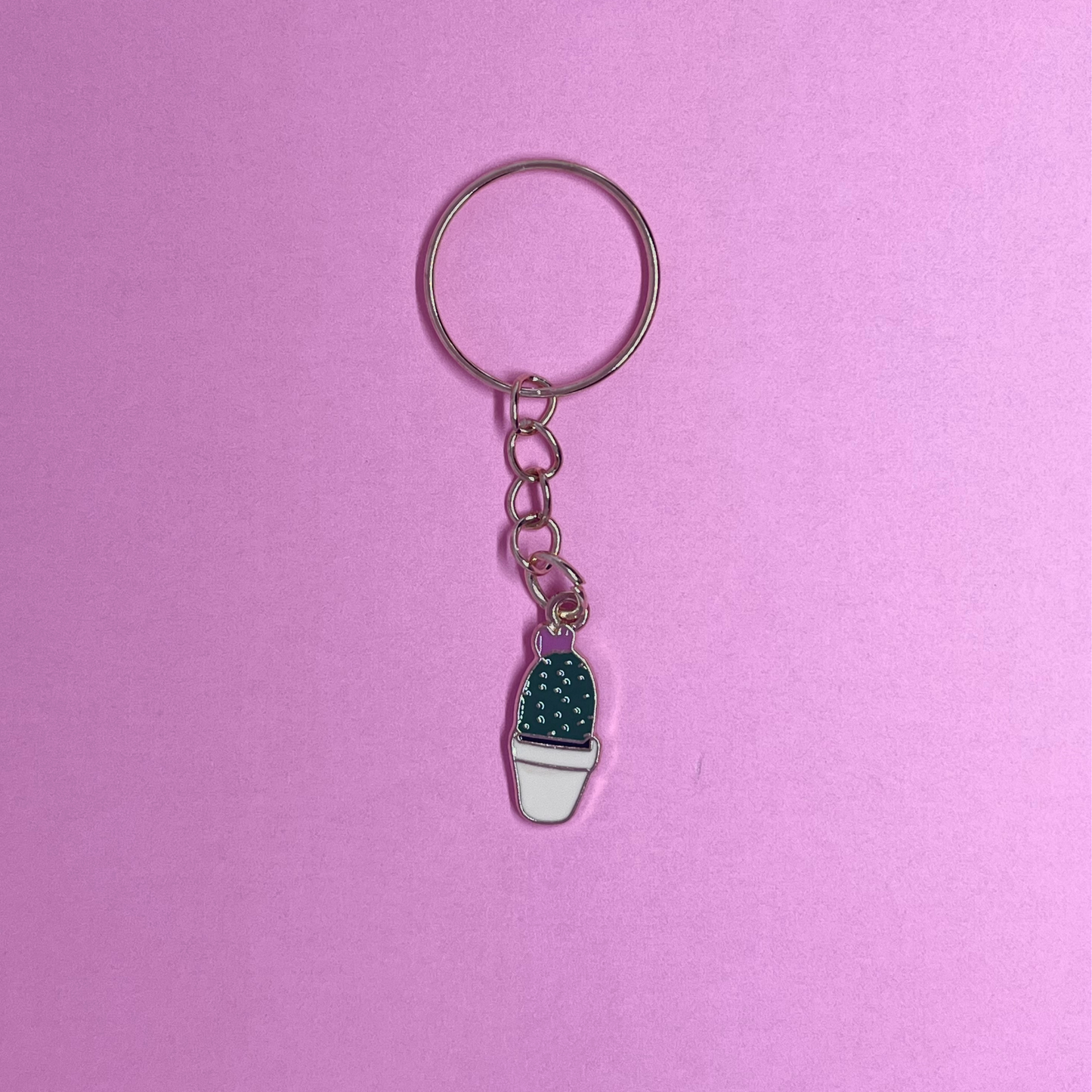 Cactus Keychains