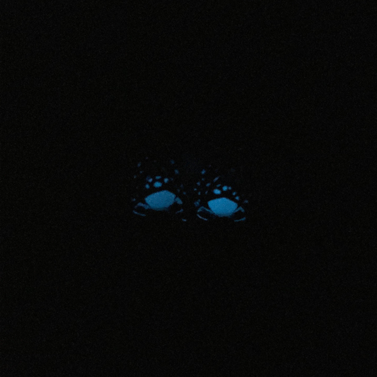 Glow in The Dark Bat Earrings
