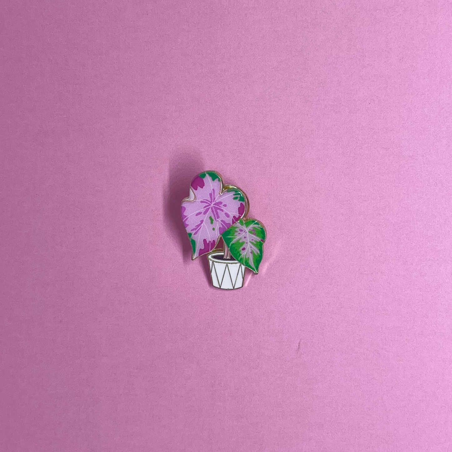 Plant Pins