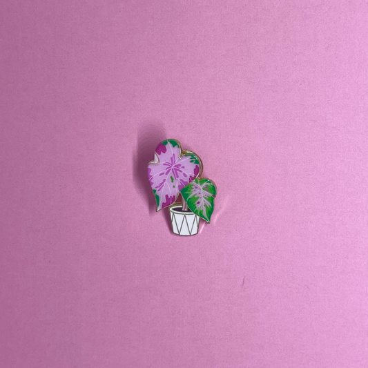 Plant Pins