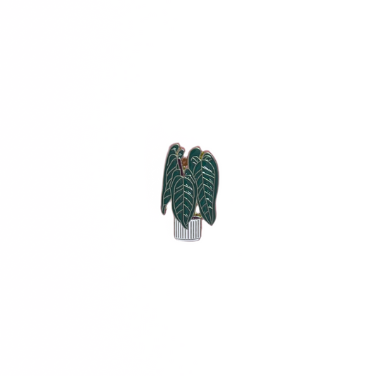 Plant Pins