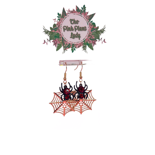Spider on Web Earrings