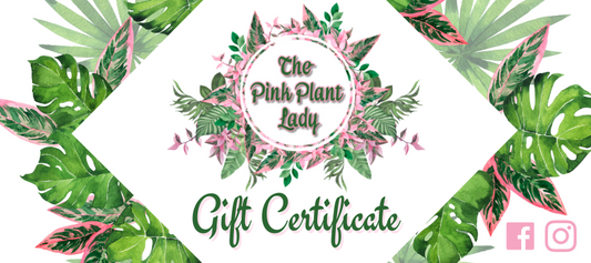 The Pink Plant Lady Gift Card