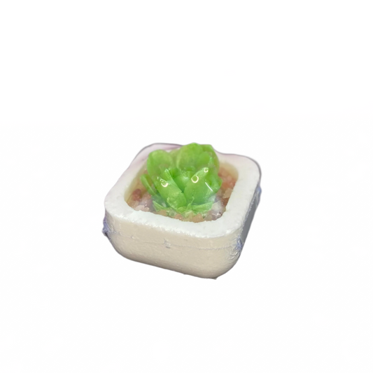 Succelent Bath Bomb